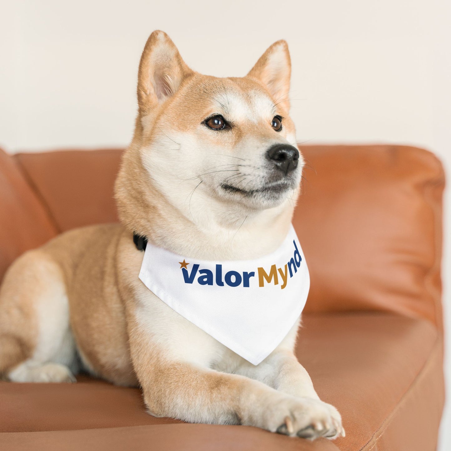 Pet Bandana Collar - ValorMynd