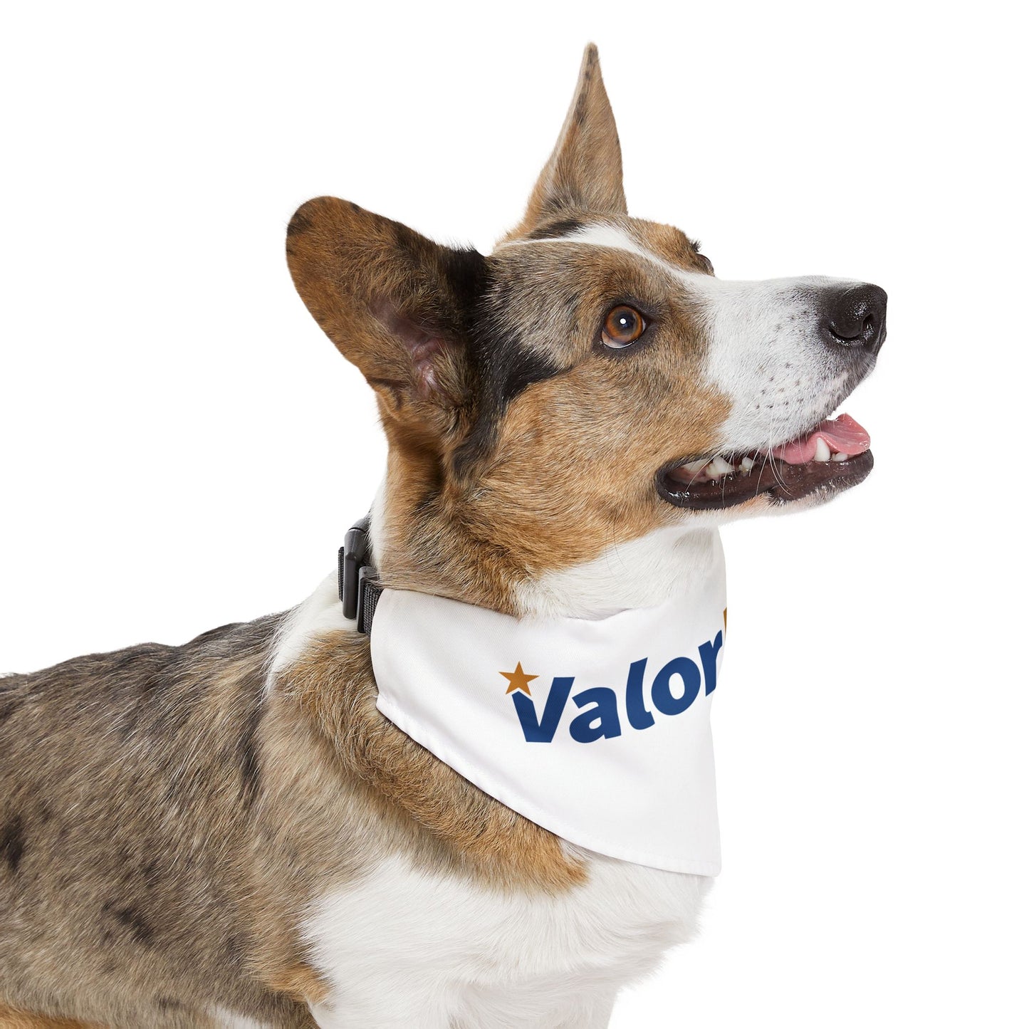 Pet Bandana Collar - ValorMynd