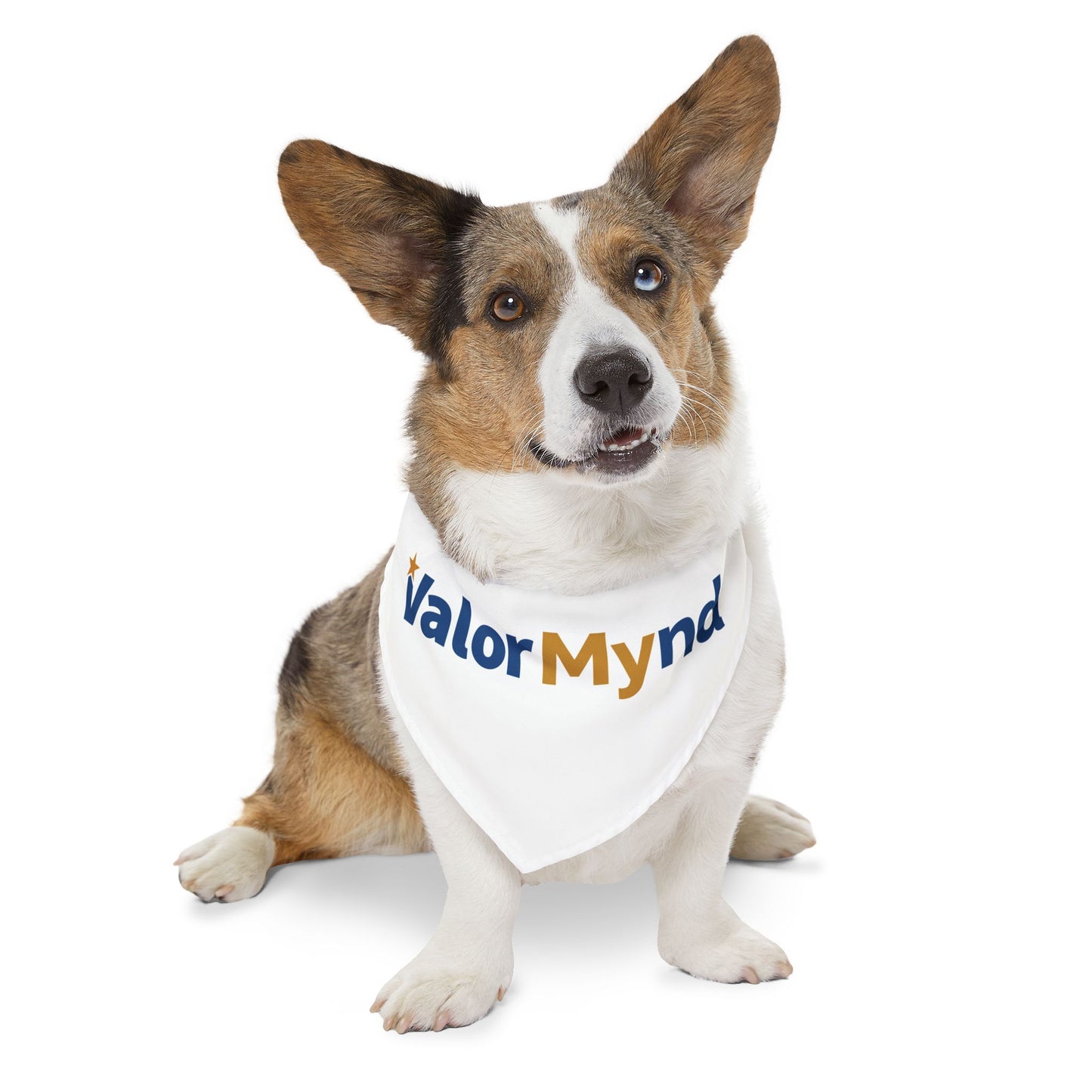 Pet Bandana Collar - ValorMynd