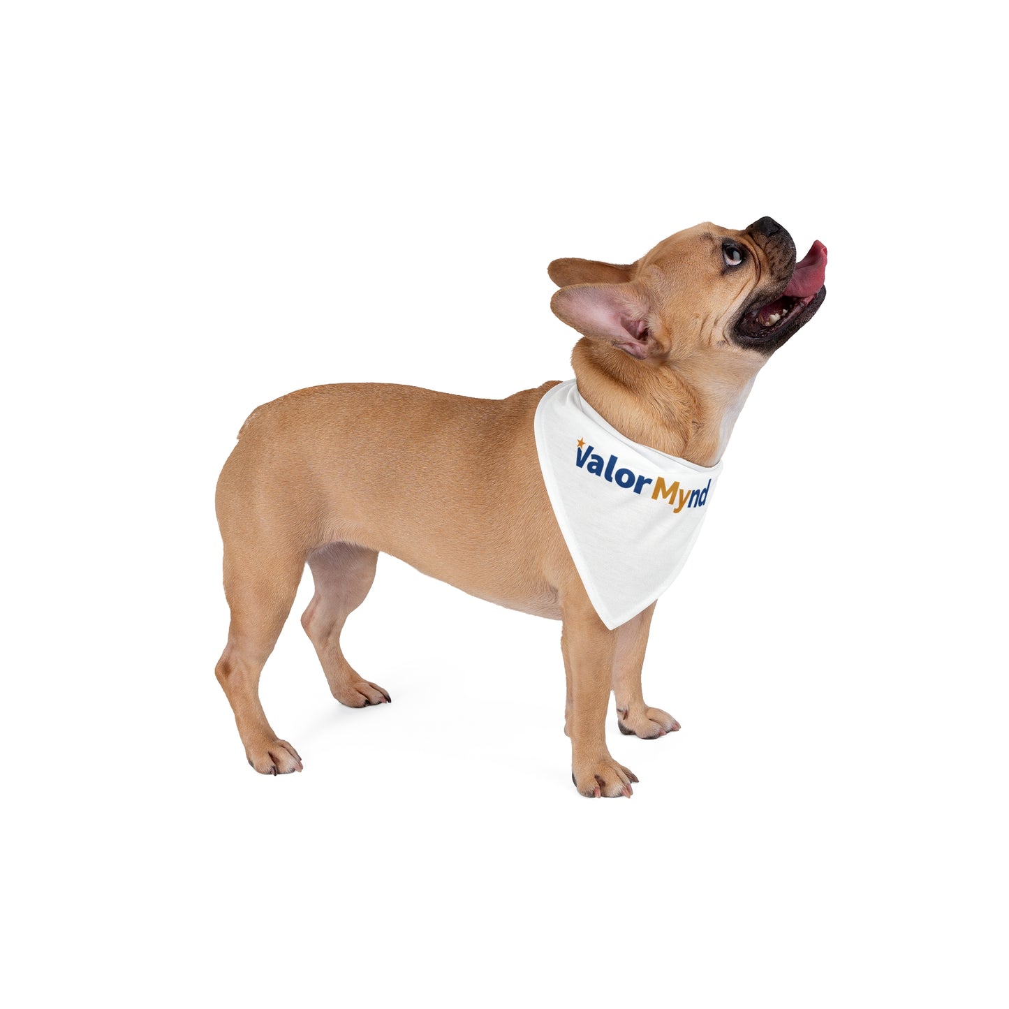 Pet Bandana - ValorMynd